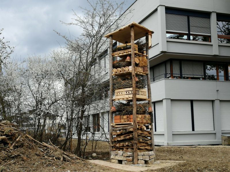 Lebensturm Kanti Beromünster Schulgebäude.jpg